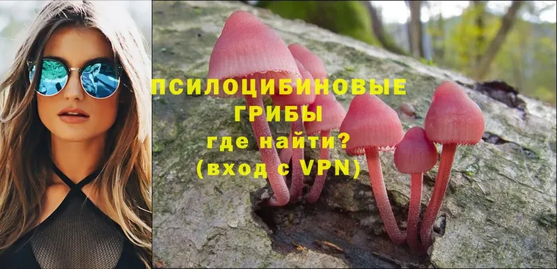 Галлюциногенные грибы Psilocybe  omg онион  Гусь-Хрустальный 